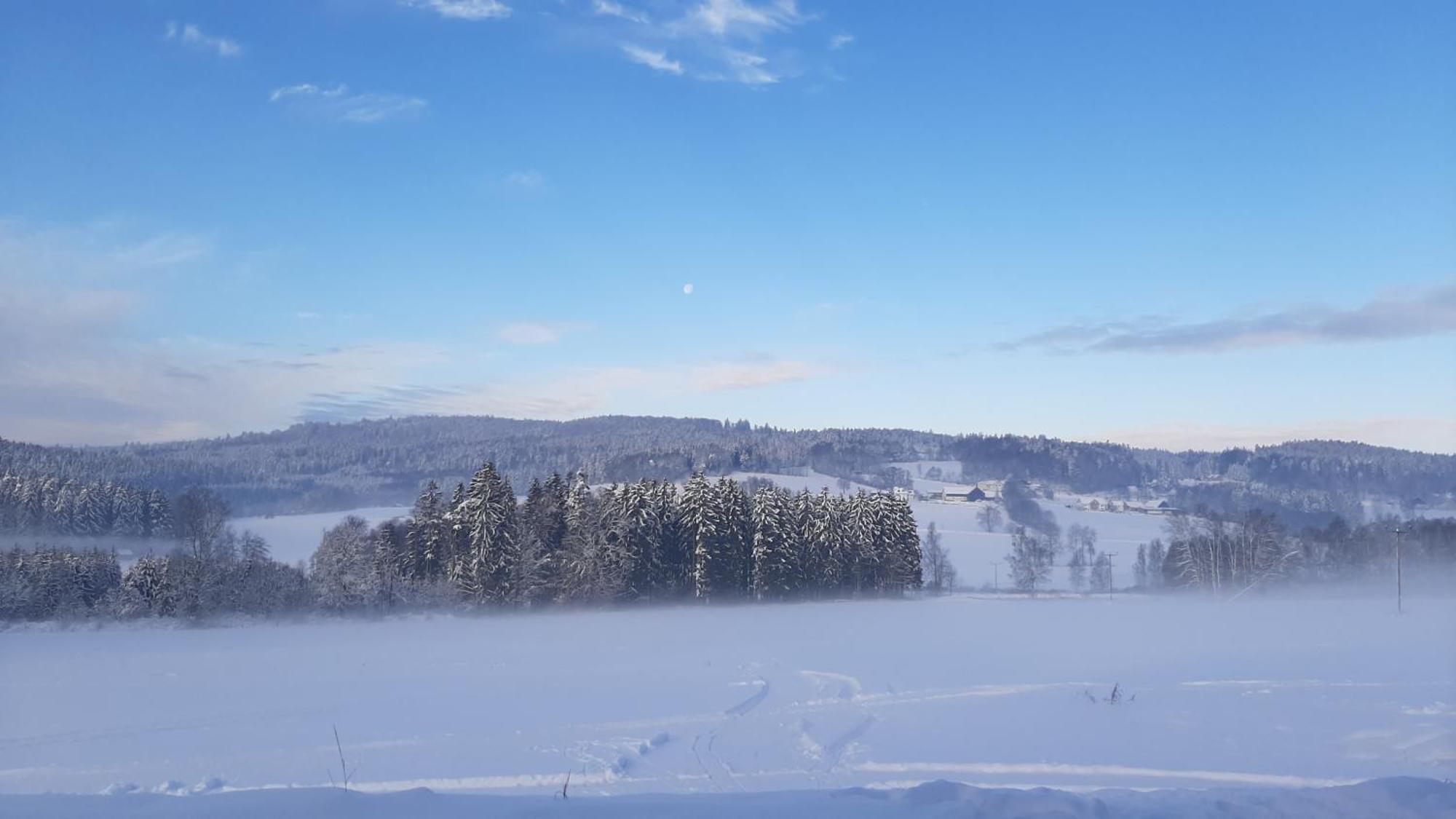Zum Bergbauern Hotell Waidhaus Exteriör bild